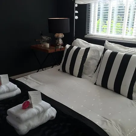 @ Sabri Homes Naarden